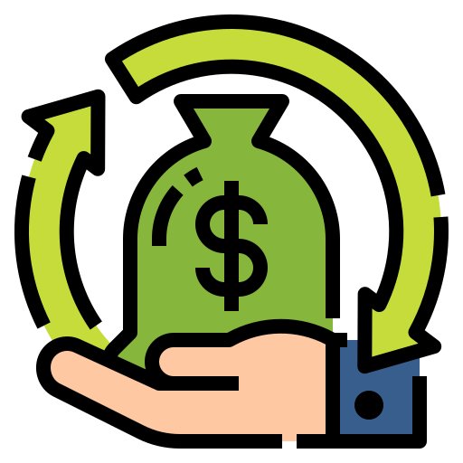 Budget-Friendly IT Solution